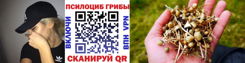 наркотики  Кольчугино  Псилоцибиновые грибы мицелий 