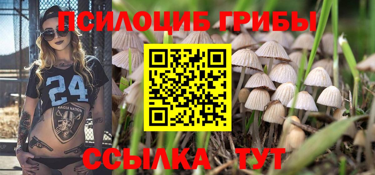 купить  сайты  Галлюциногенные грибы Psilocybine cubensis  Вход с VPN  Кольчугино 
