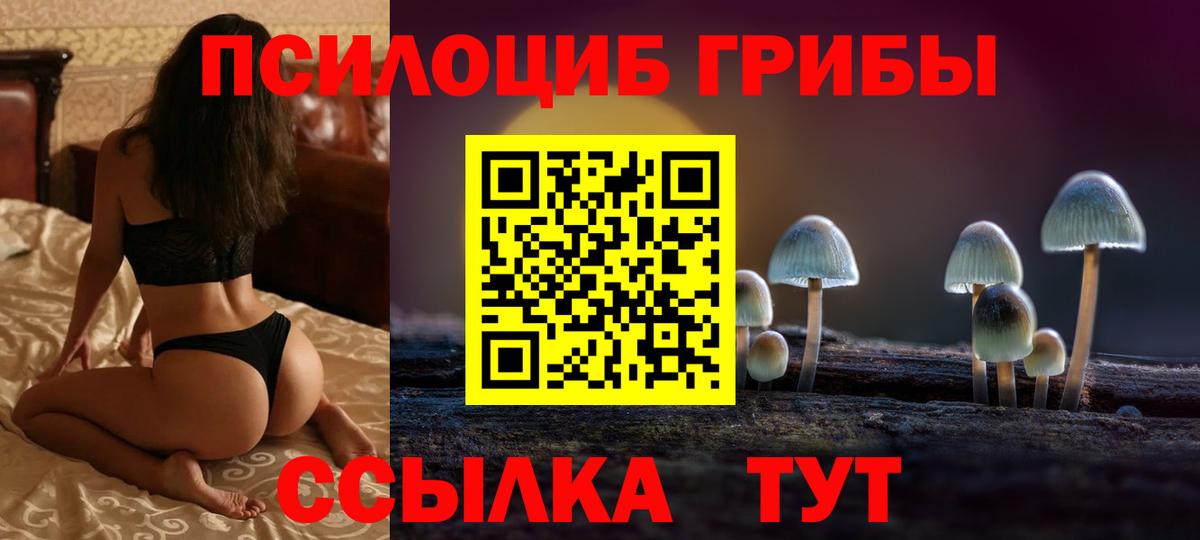 Псилоцибиновые грибы Psilocybe Кольчугино